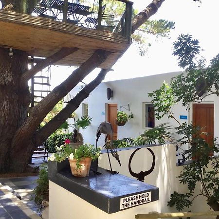 Oceangolf Guest House นอร์ดโฮค ภายนอก รูปภาพ
